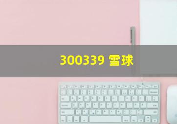 300339 雪球